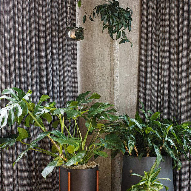 plants decoration for event space at the emily hotel, chicago