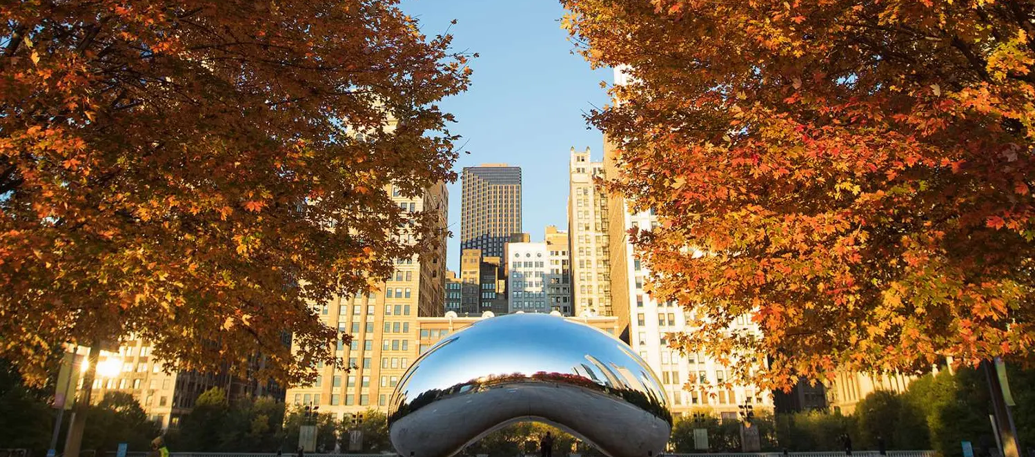 Chicago Fall 1