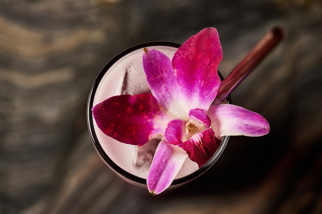 Fora's Chicago Fizz Cocktail