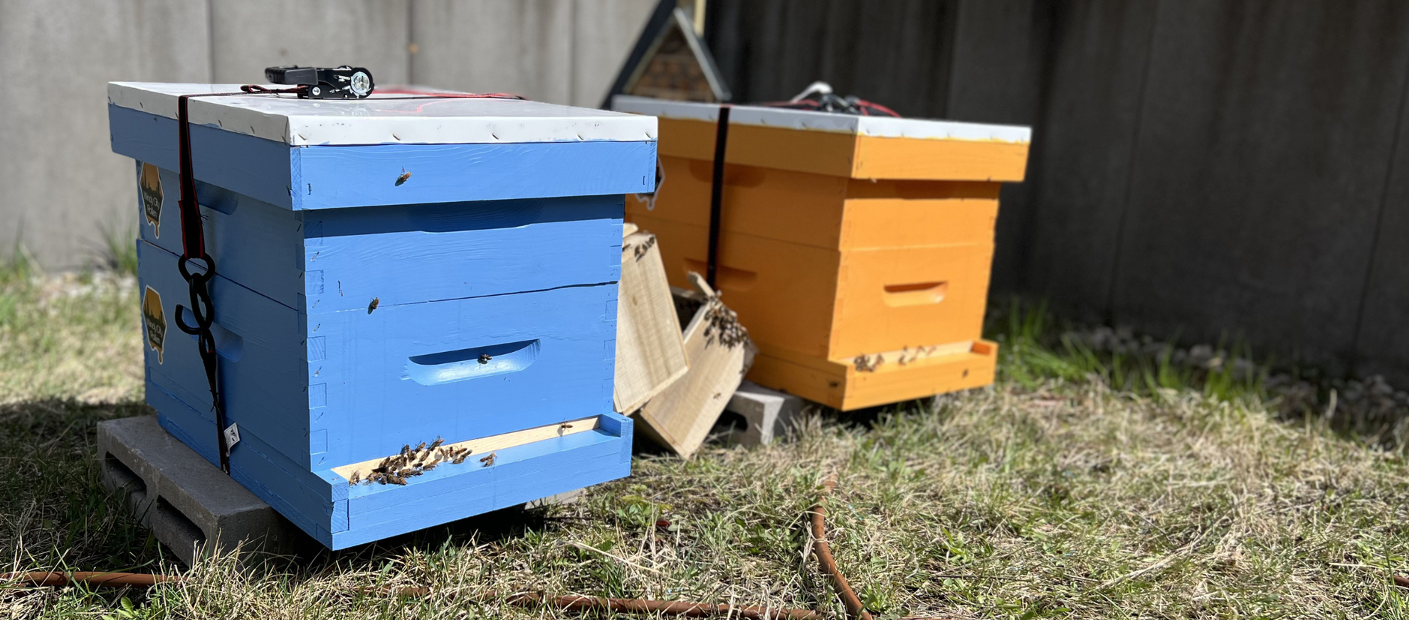 Hive Boxes on Roof