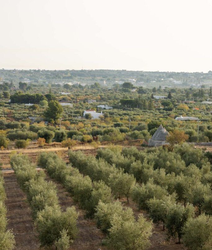 Mazzarelli-Ceative-Resort-Puglia-Wedding-Venue-55-683x1024