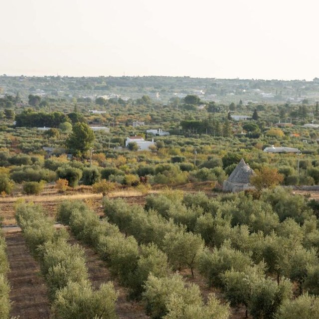 Mazzarelli-Ceative-Resort-Puglia-Wedding-Venue-55-683x1024