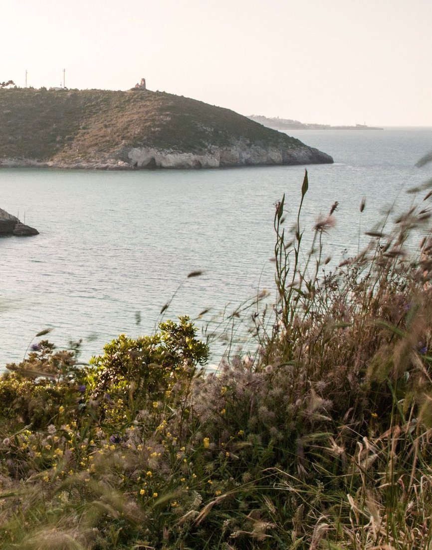 Sea cliffs in Puglia