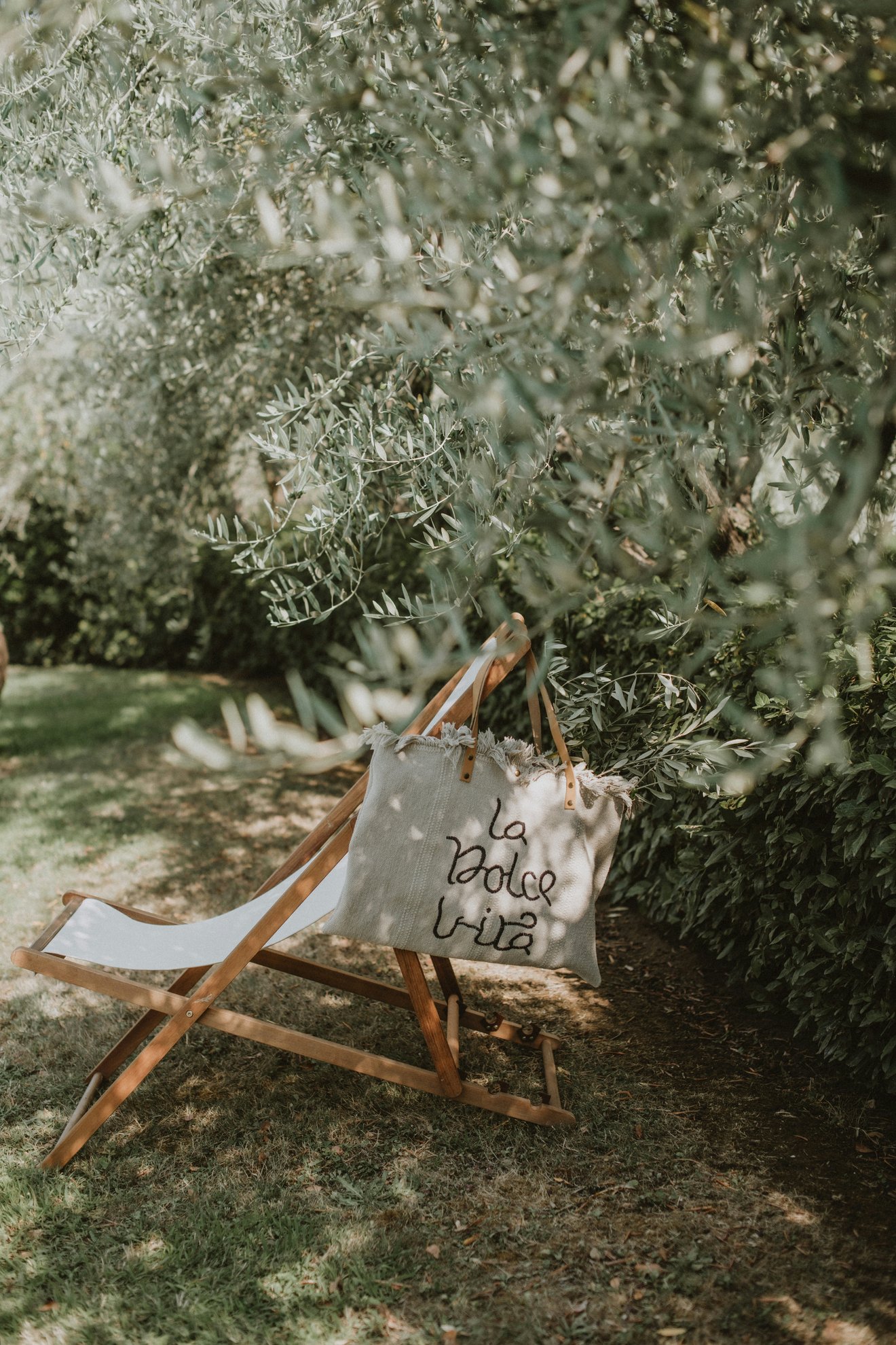 Wood and fabric deck chair sitting amongst olive trees