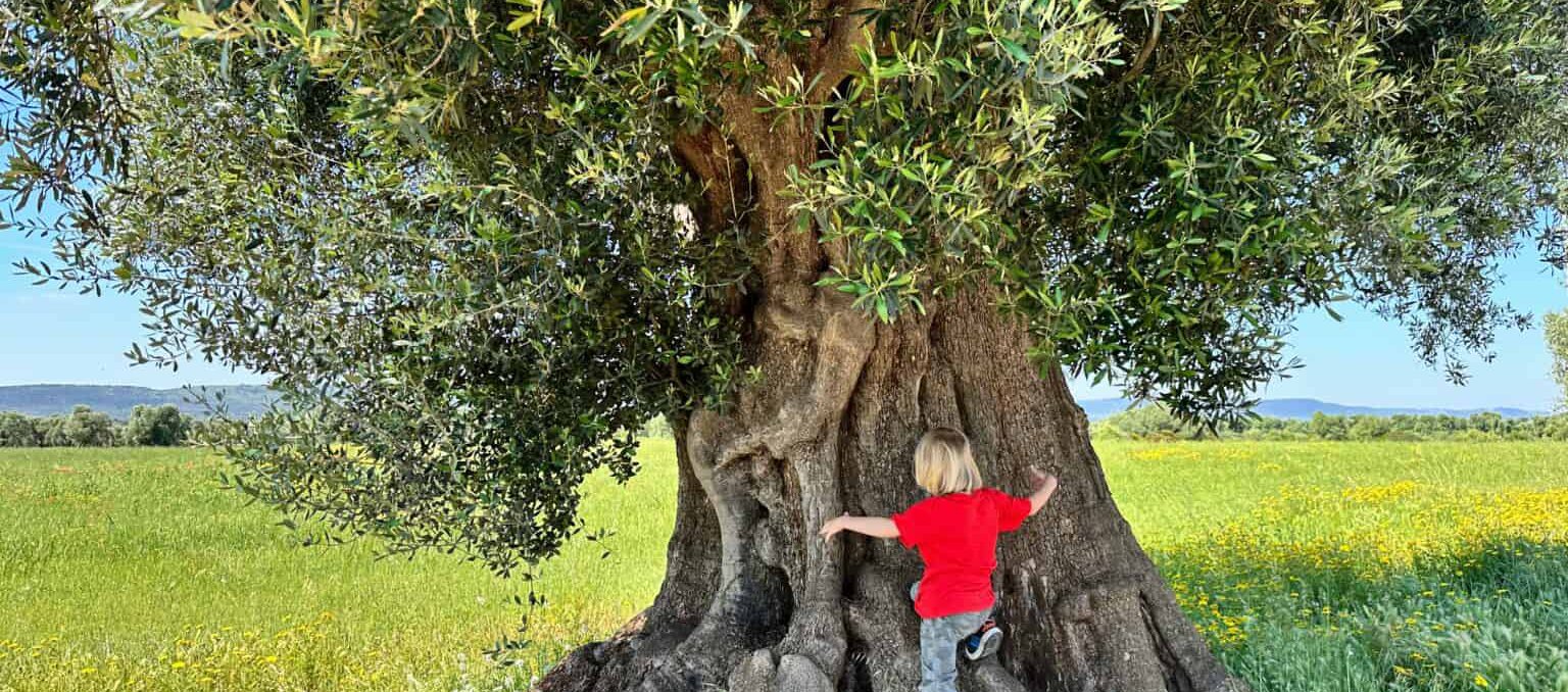 boy hugging tree in puglia