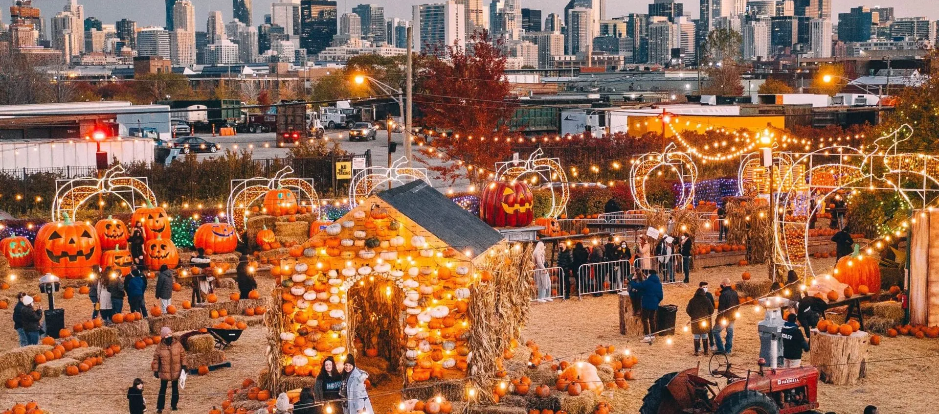 jacks pumpkin patch chicago fall
