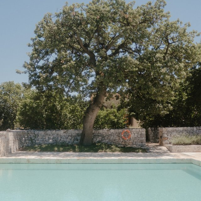 pool with olive tree