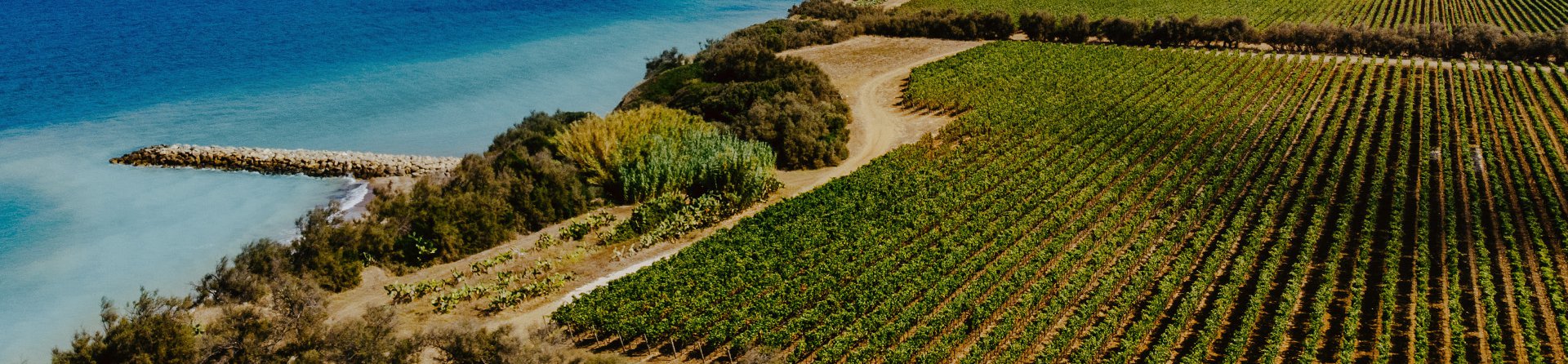 Aerial view of Maime Estate in Puglian Wine Country where the vineyards and ocean meet