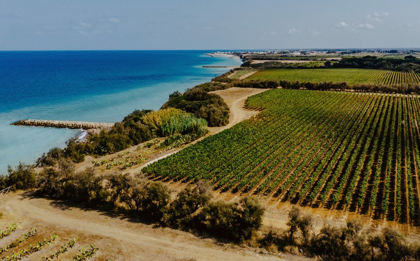 Aerial view of Maime Estate in Puglian Wine Country where the vineyards and ocean meet