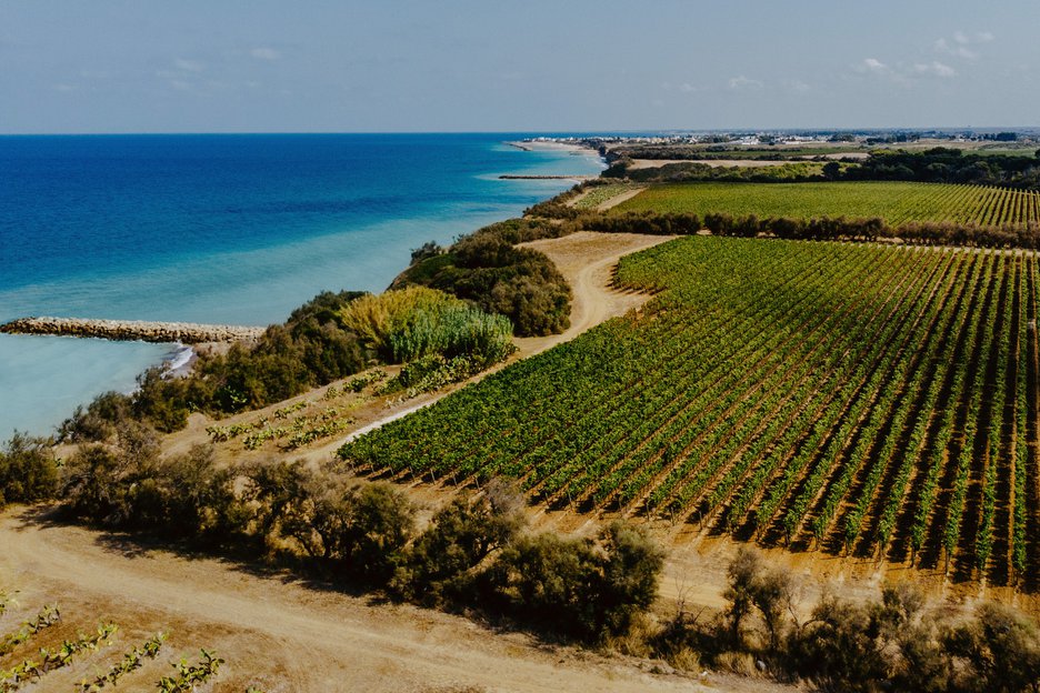 Aerial view of Maime Estate in Puglian Wine Country where the vineyards and ocean meet