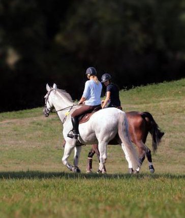 two-people-riding-horses.2e16d0ba.fill-1980x872-c100